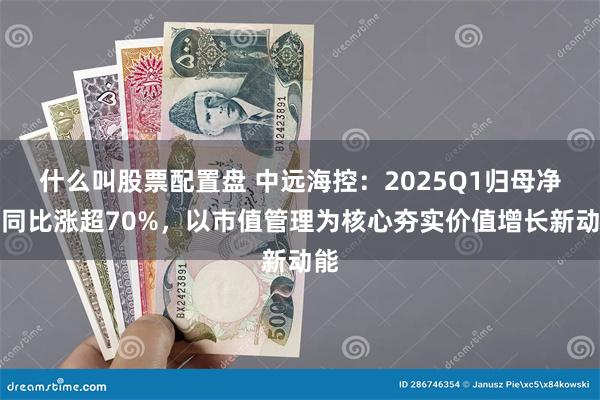 什么叫股票配置盘 中远海控：2025Q1归母净利同比涨超70%，以市值管理为核心夯实价值增长新动能