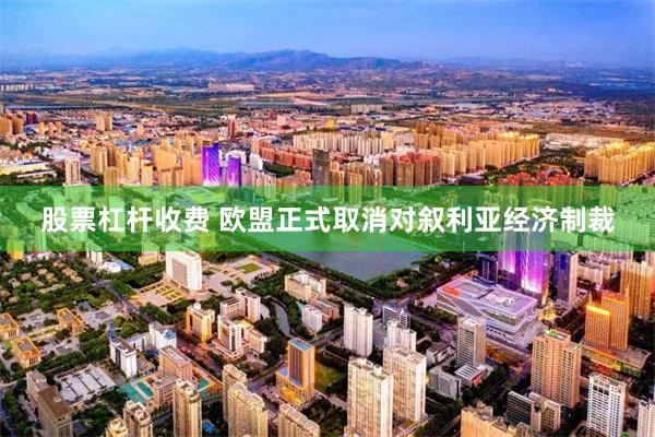 股票杠杆收费 欧盟正式取消对叙利亚经济制裁