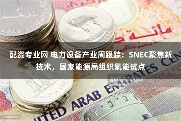 配资专业网 电力设备产业周跟踪:SNEC聚焦新技术,国家能源局组织氢能试点